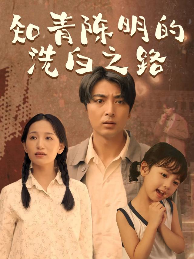 知青陈明的洗白之路封面