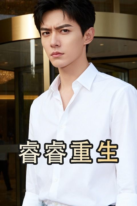 睿睿重生封面