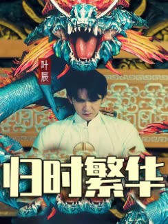 归时繁华封面