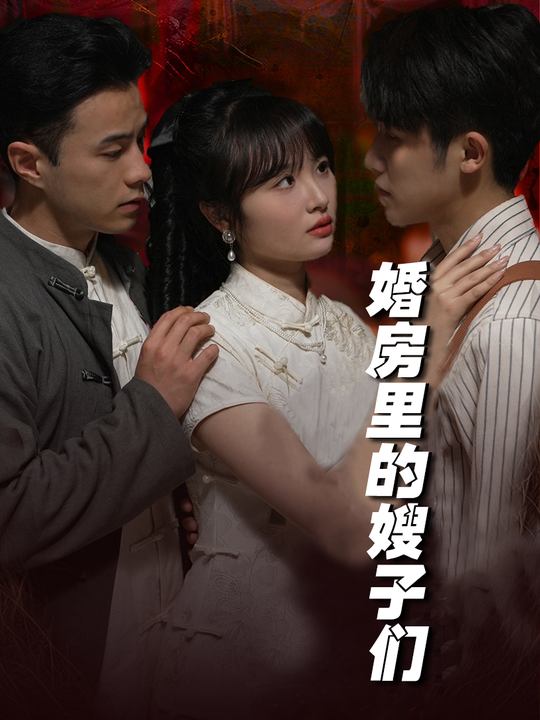 婚房里的嫂子们封面