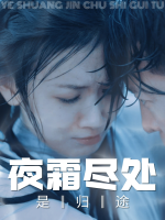 夜霜尽处是归途封面