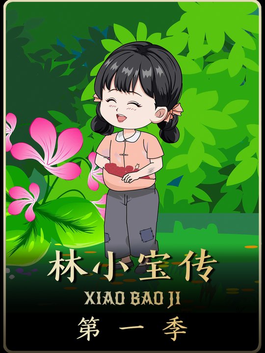 林小宝传第一季封面