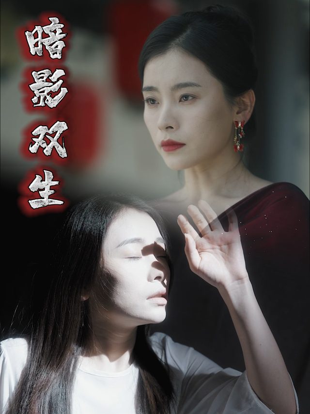 暗影双生封面