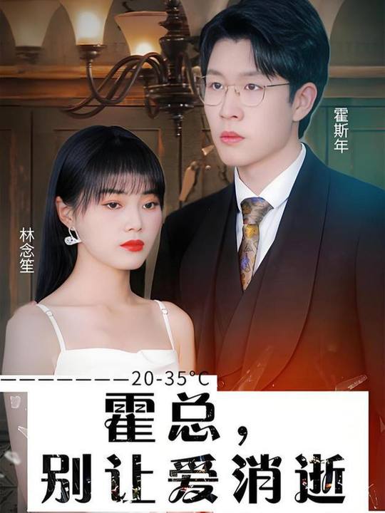 霍总,别让爱消逝封面