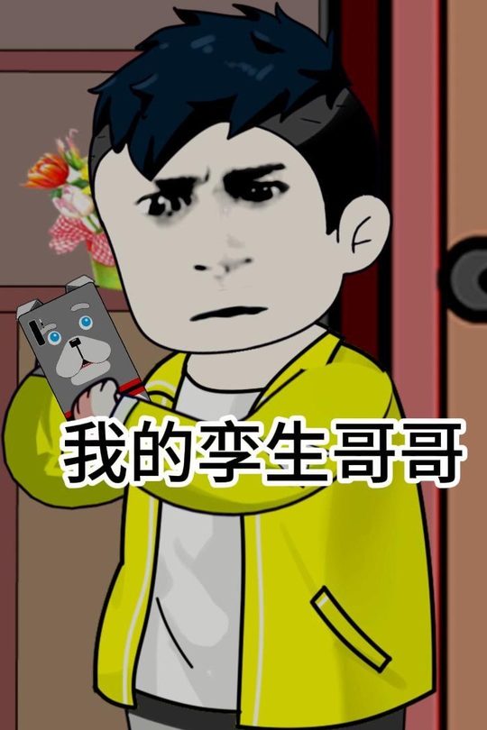 我的孪生哥哥封面