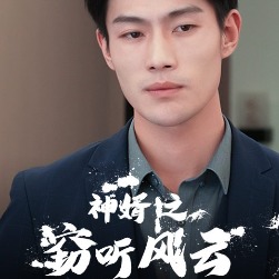 神婿之窃听风云封面