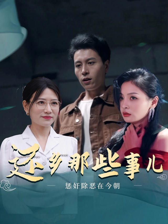还乡那些事儿封面
