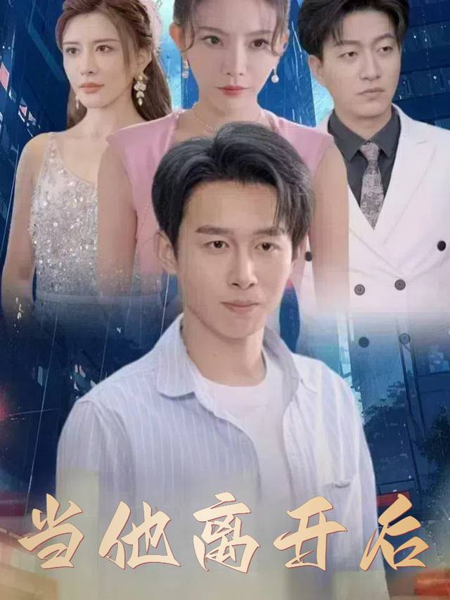 当他离开后封面