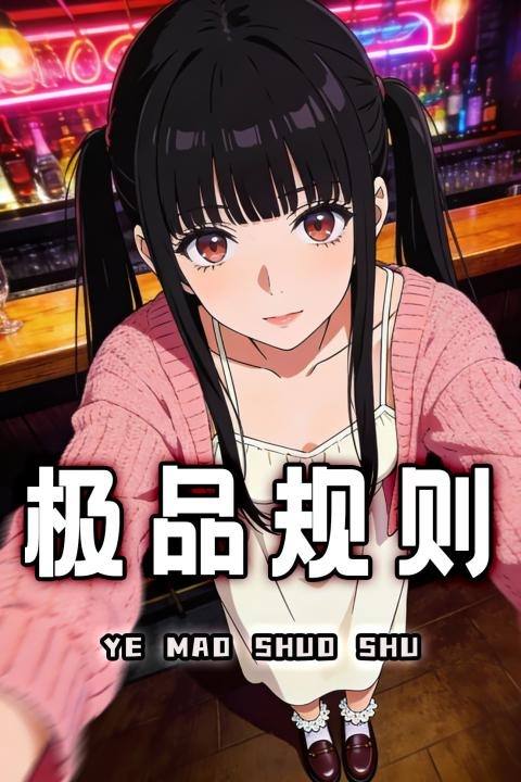 极品规则封面