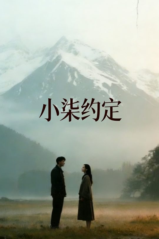 小柒约定封面