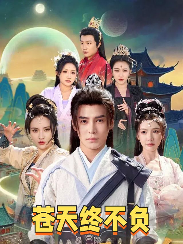 苍天终不负封面