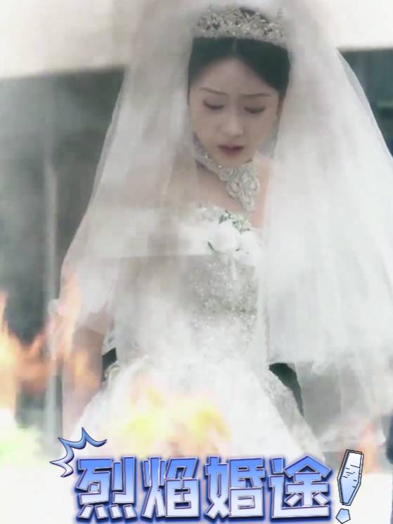 烈焰婚途封面