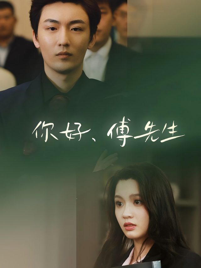 你好,傅先生封面