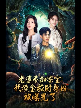 老婆参加鉴宝:我摸金校尉身份被曝光了封面