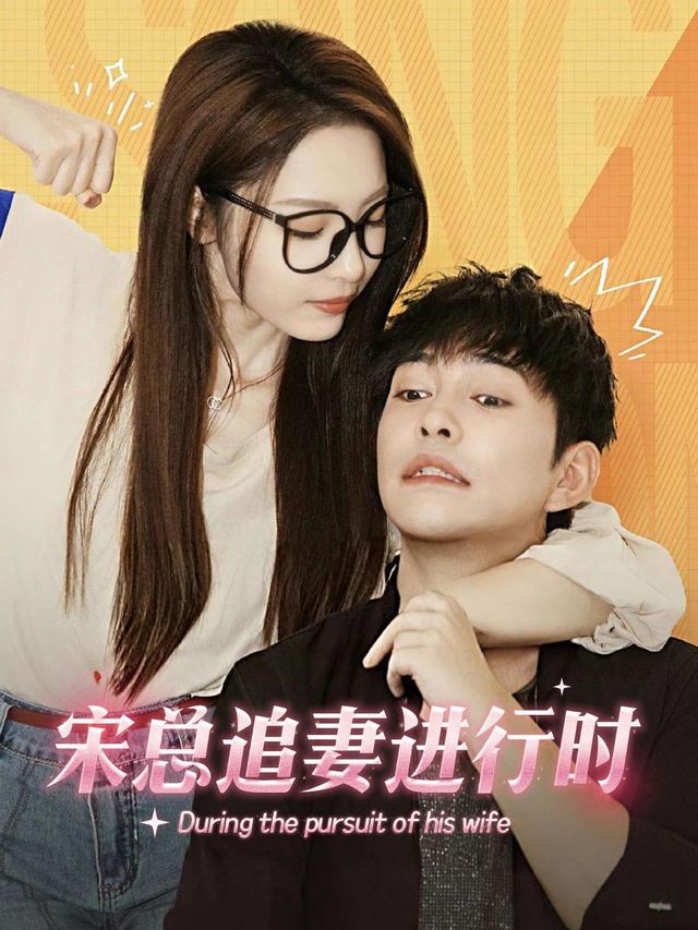宋总追妻进行时封面