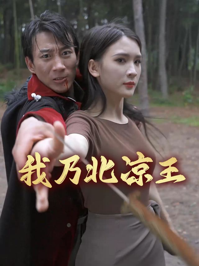 我乃北凉王封面