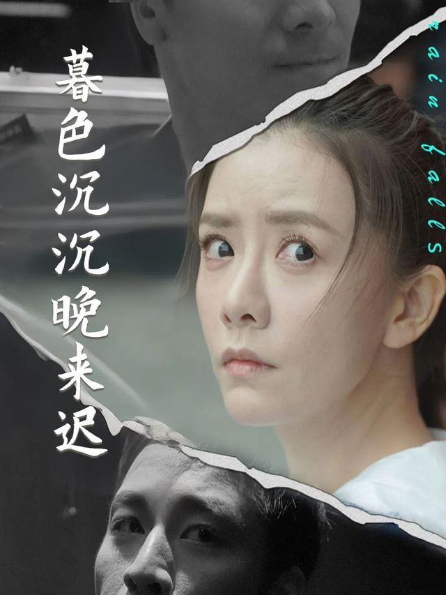 暮色沉沉晚来迟封面
