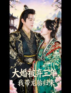 大婚被弃三年,我带龙胎归来封面