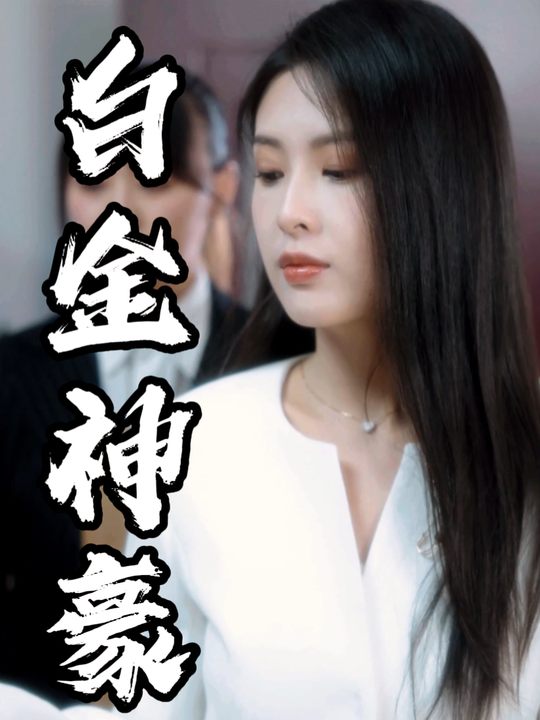 白金神豪封面