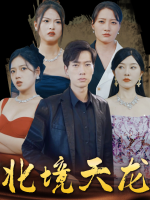 北境天龙封面
