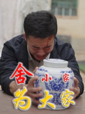 舍小家为大家封面