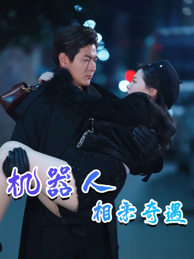 机器人相亲奇遇封面