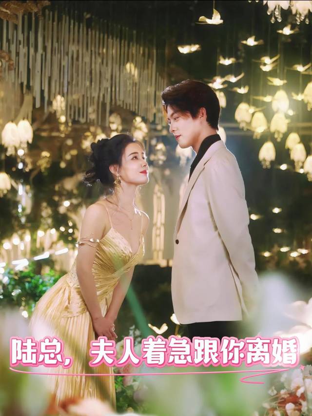 陆总,夫人着急跟你离婚封面