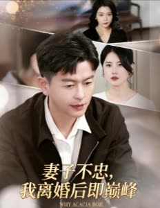 妻子不忠,我离婚后即巅峰封面