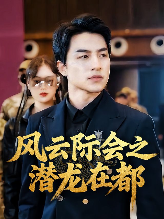 风云际会之潜龙在都封面