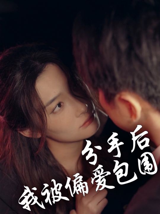 分手后，我被偏爱包围封面