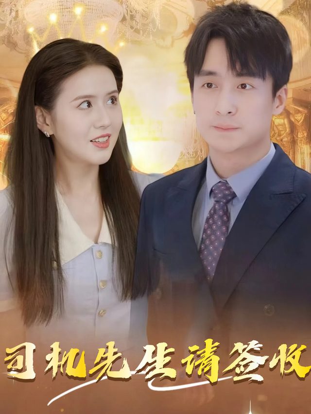 司机先生请签收封面