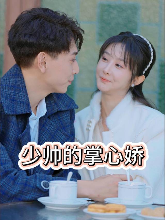 少帅的掌心娇封面