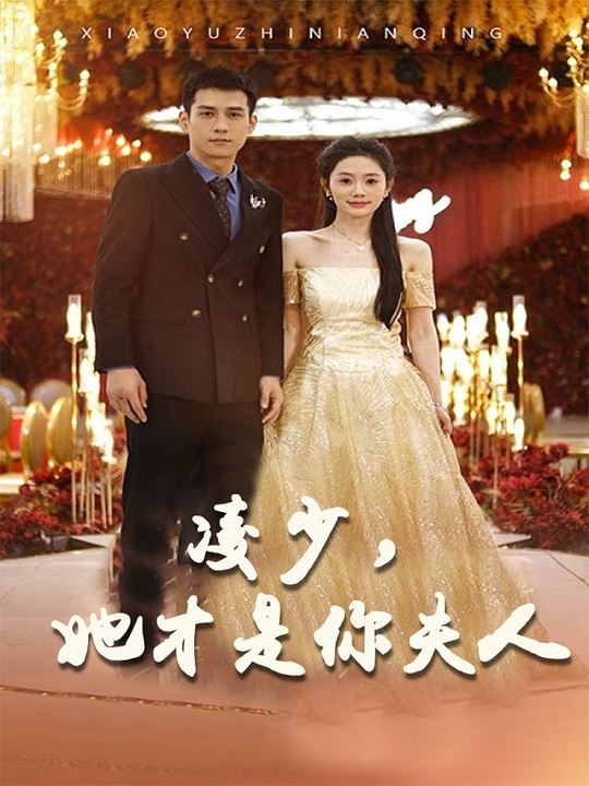 凌少,她才是你夫人封面