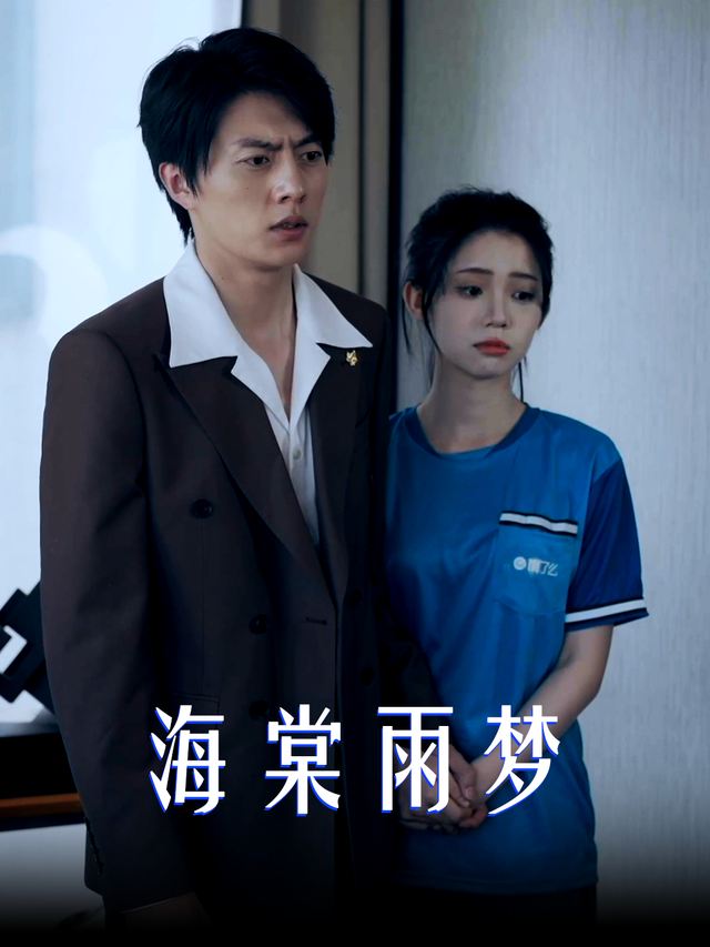 海棠雨梦封面