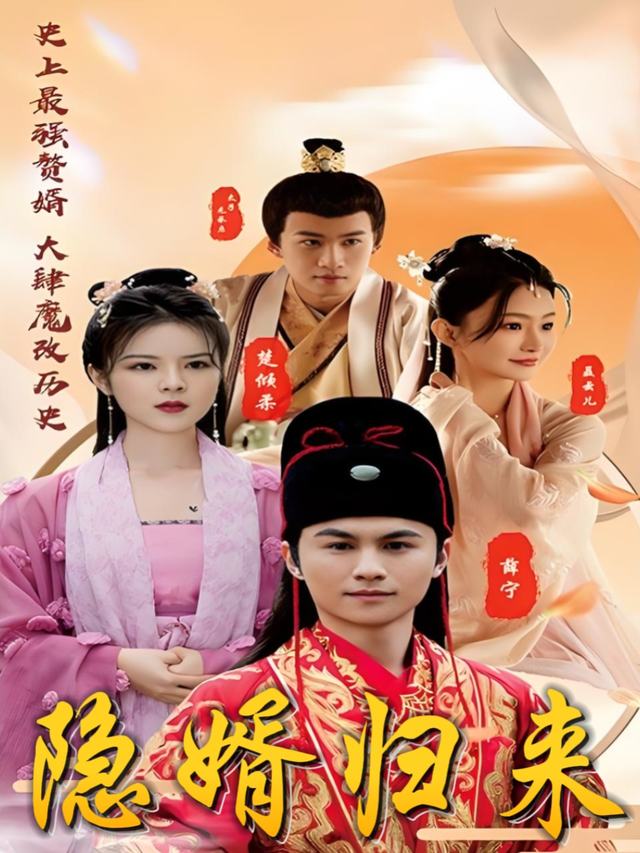 隐婿归来封面