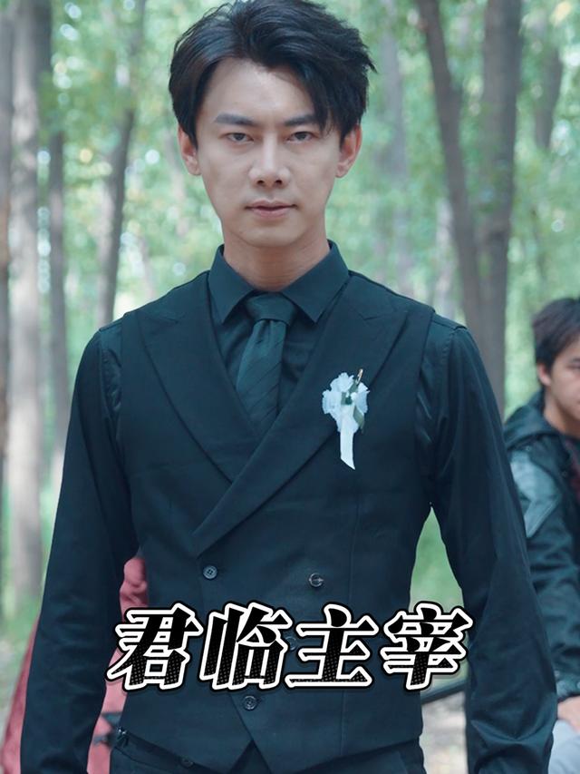 君临主宰封面