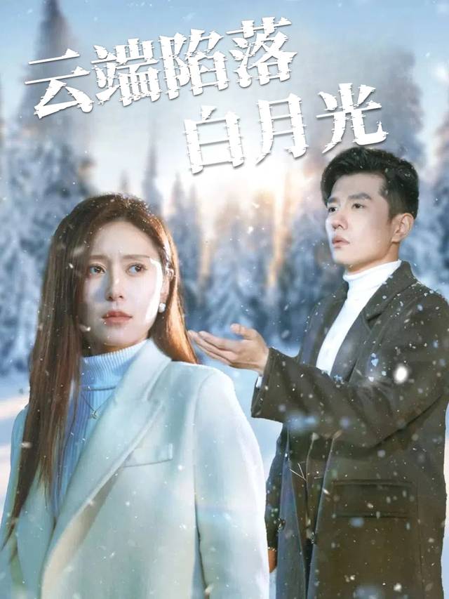 云端陷落白月光封面