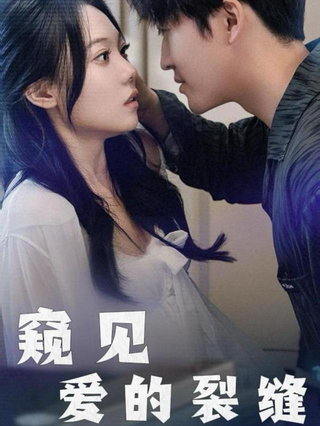 窥见爱的裂缝封面