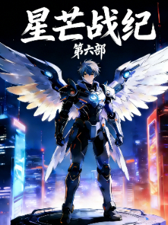 星芒战纪 第六部封面