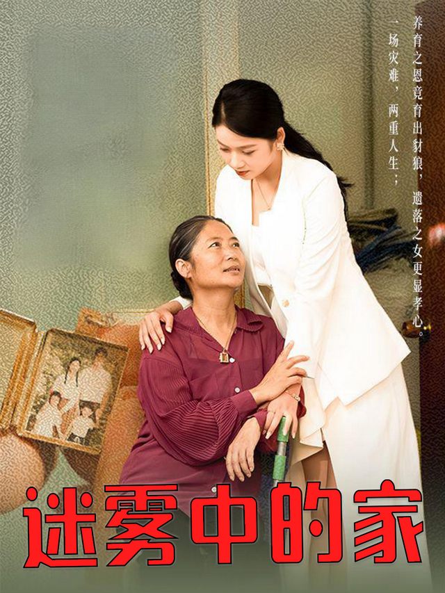 迷雾中的家封面