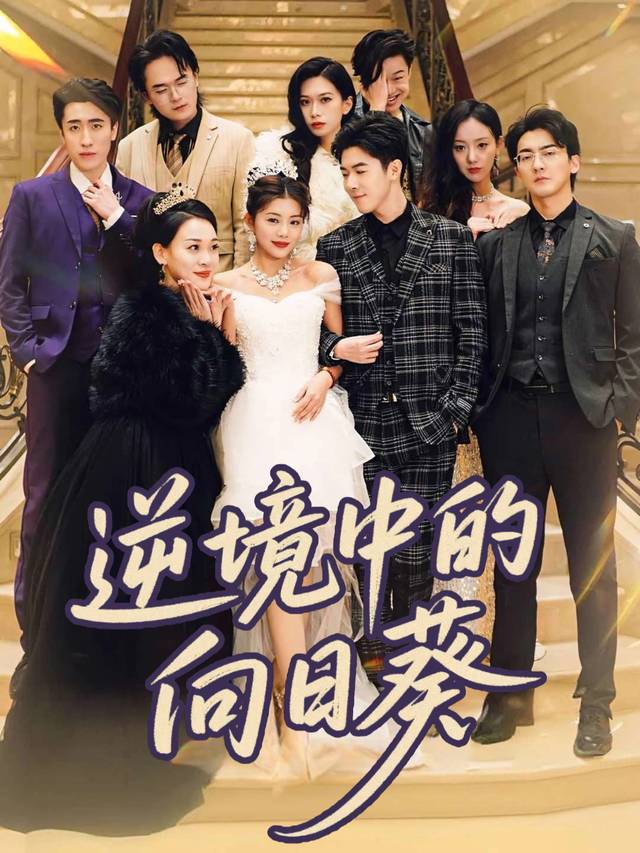 逆境中的向日葵封面