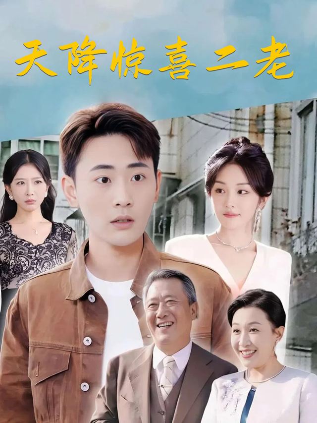 天降惊喜二老封面