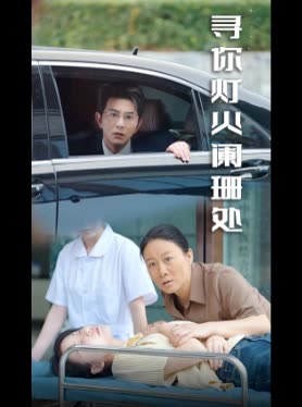 寻你灯火阑珊处封面
