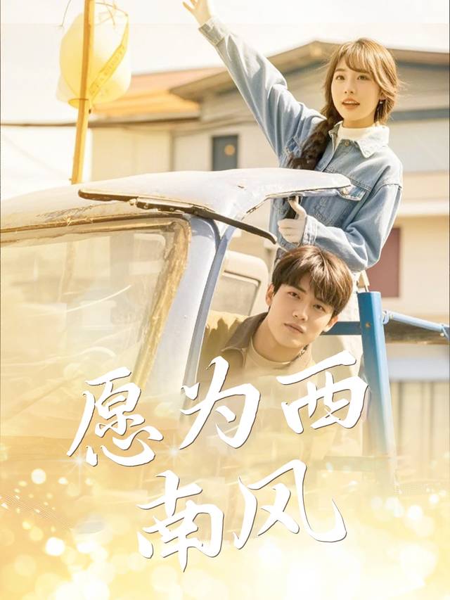 愿为西南风封面