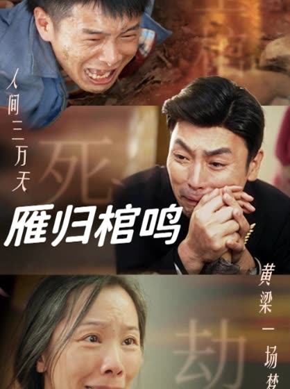 雁归棺鸣封面