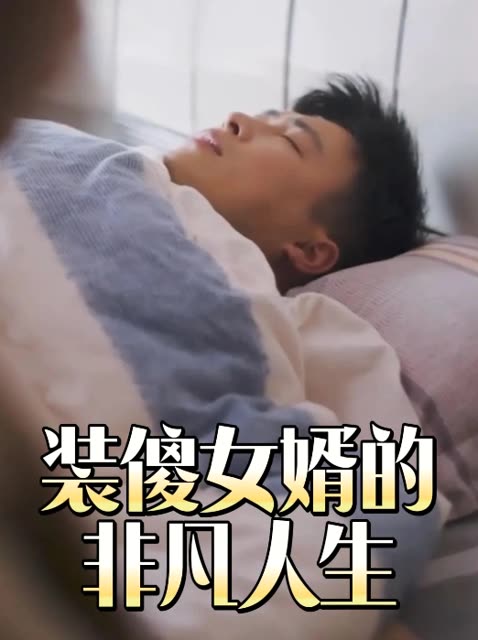 装傻女婿的非凡人生封面