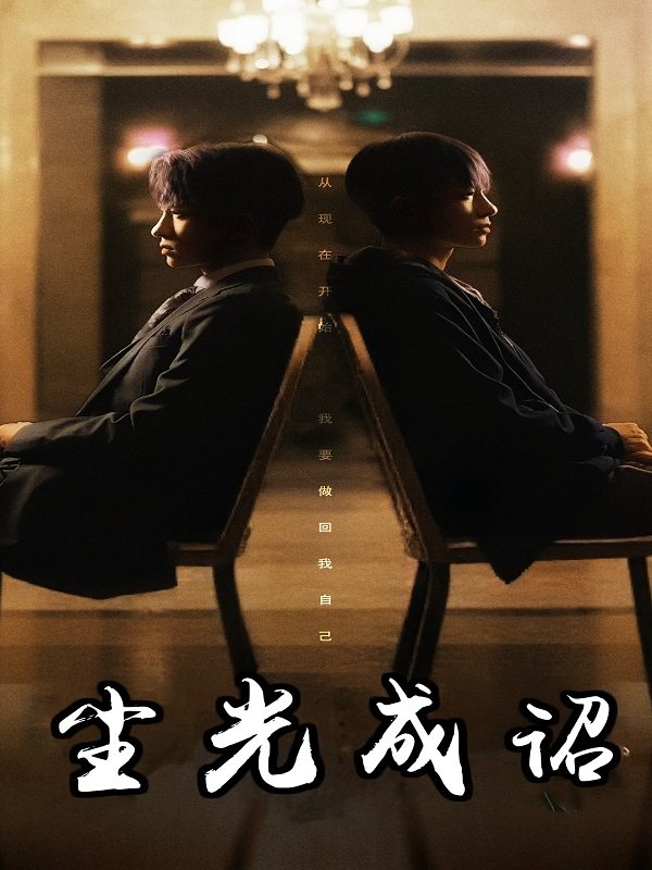 尘光成诏封面