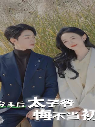 分手后太子爷悔不当初封面