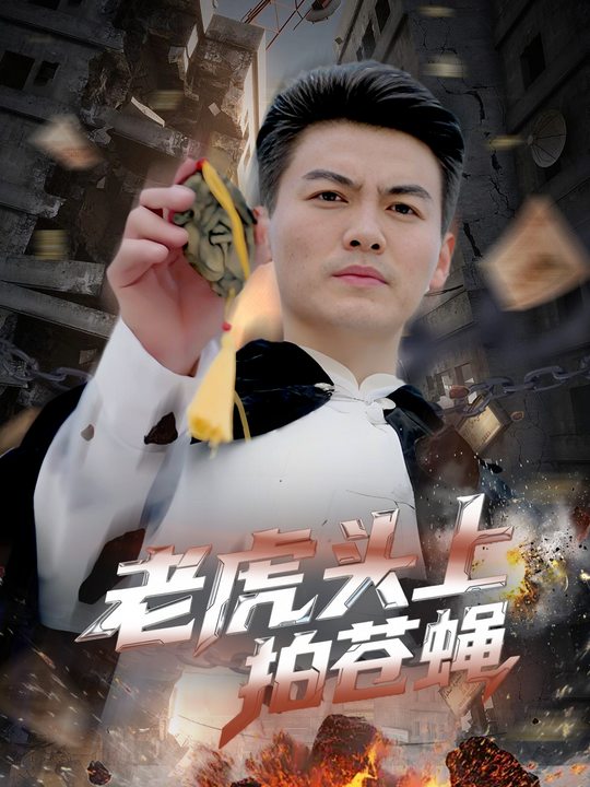 老虎头上拍苍蝇封面