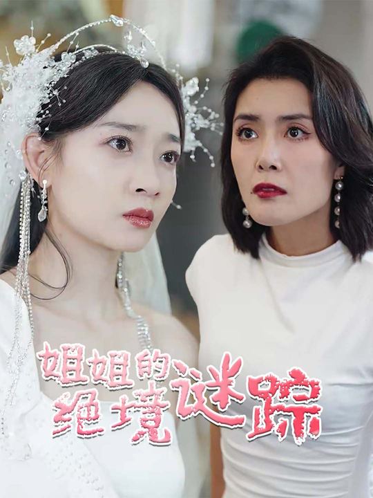 姐姐的绝境谜踪封面